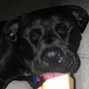 Meet your Posher, Jason